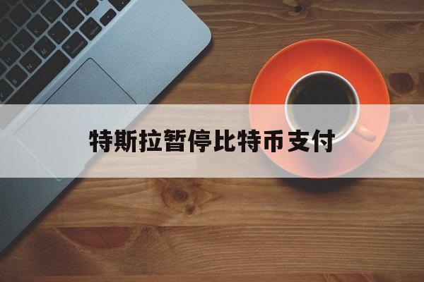 特斯拉暂停比特币支付:(比特币和特斯拉什么关系)