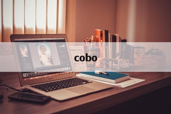 cobo:(COBO是什么档次)