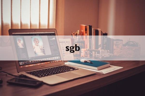sgb:(sgb医学上是什么意思)
