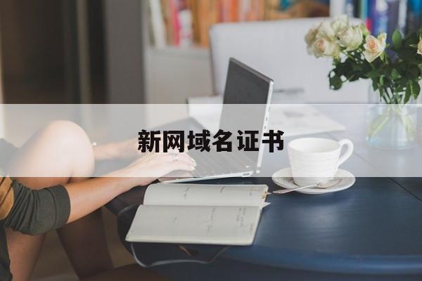 新网域名证书:(如何申请网站域名流程)